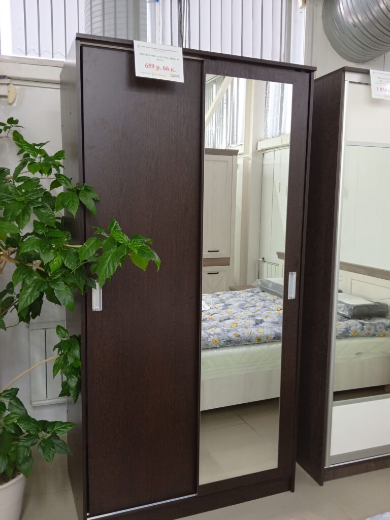 Шкаф-купе Лагуна